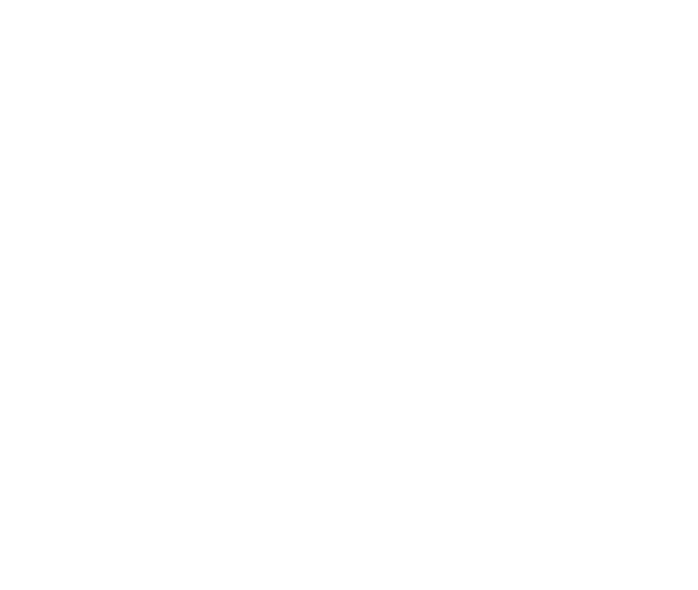 THE MESSAGE